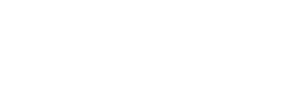 fitbit.png